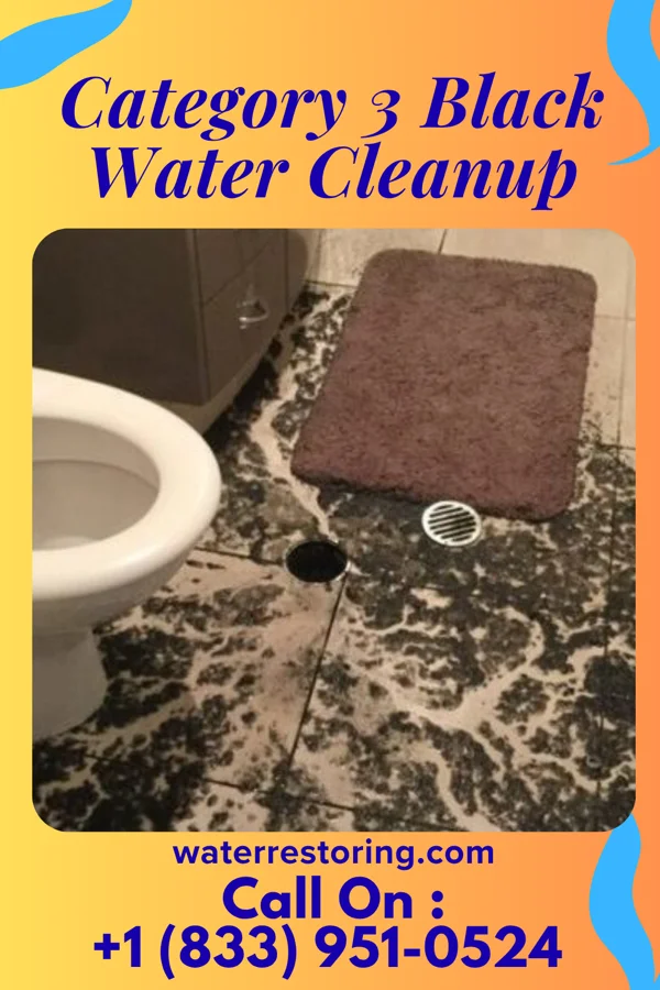 Category 3 Black Water Cleanup in Princeton, KS