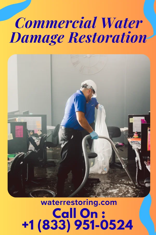 Commercial Water Damage Restoration in Princeton, KS