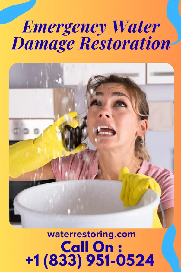 Emergency Water Damage Restoration in Princeton, KS