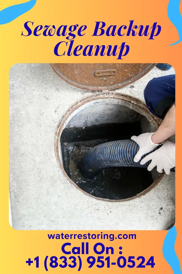 Sewage Backup Cleanup in Princeton, KS